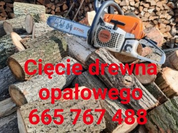 Cięcie drewna Turek i okolice