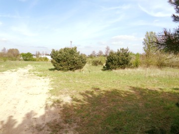 Sompolno – Duża Działka Budowlana