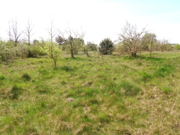 Sompolno &ndash; Duża Działka Budowlana