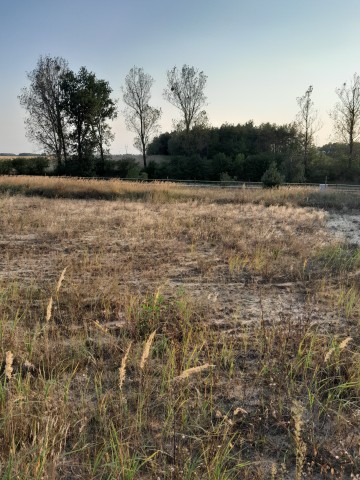 Sprzedam działkę budowlaną w Kramsk-Łęgi z WZ