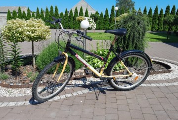 Rower g&oacute;rski 26" Delta Design