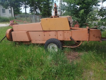 Sprzedam prase sipme kostke