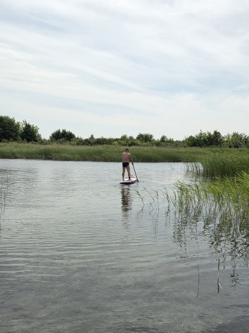 DASKI SUP DO WYNAJECIA