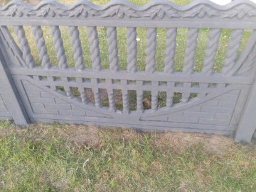 Oferuję usługe malowania płot&oacute;w, ogrodzeń