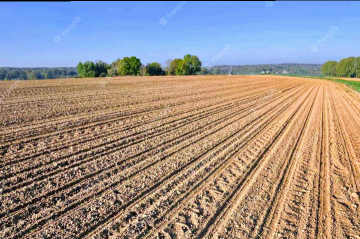 Przyjmę ziemie w dzierżawę