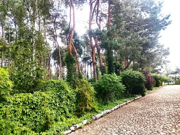 Dom przy lesie!!! Działka 1ha!!! Golina-Kolonia