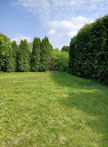 Sprzedam działkę rekreacyjną ROD Rumin - cena do negocjacji