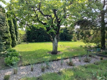 Sprzedam działkę rekreacyjną ROD Rumin - cena do negocjacji