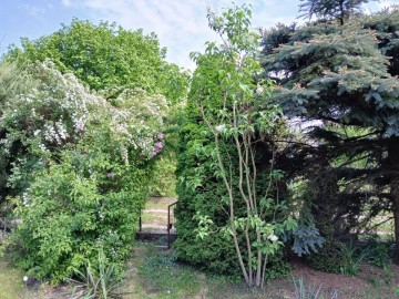 Sprzedam działkę rekreacyjną ROD Rumin - cena do negocjacji