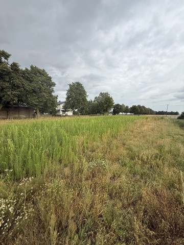 Działka budowlana 2290 m&sup2; &ndash; Kolonia Sługocin, gm. Lądek