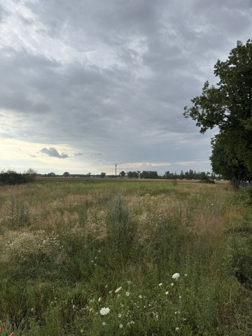 Działka budowlana 2290 m&sup2; &ndash; Kolonia Sługocin, gm. Lądek