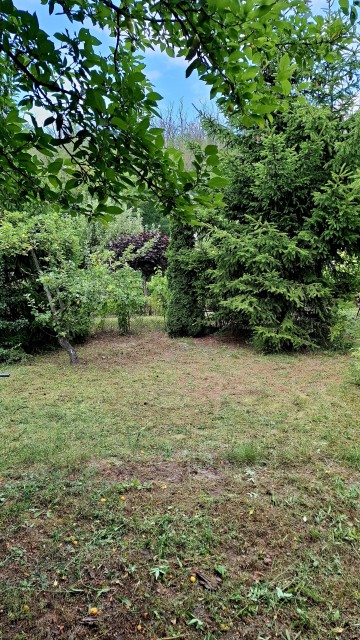 Działka rekreacyjna ROD