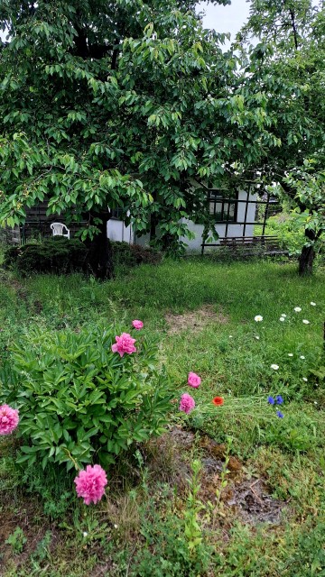 Działka rekreacyjna ROD