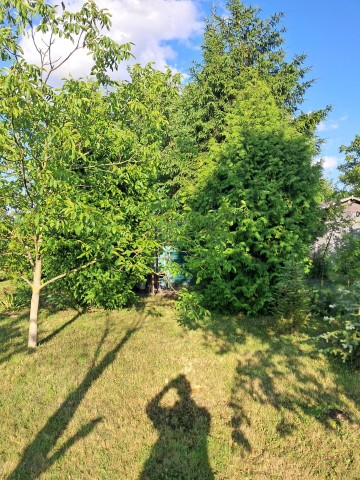 Sprzedam działkę ROD Szarotka Konin os. zatorze