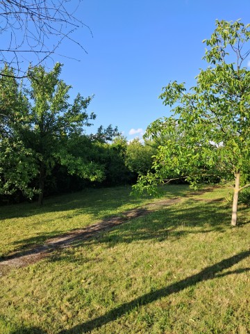 Sprzedam działkę ROD Szarotka Konin os. zatorze