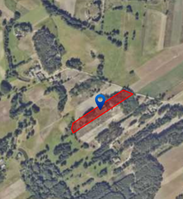 Na sprzedaż działka 1,24 ha &ndash; Krzykosy, gm. Dąbie