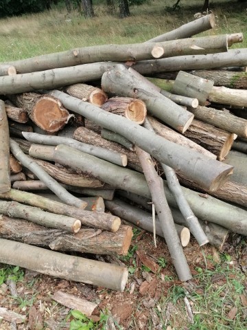 Drewno opałowe SUCHE! Możliwy transport!