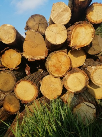 Drewno opałowe SUCHE! Możliwy transport!
