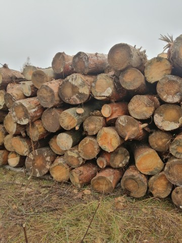 Drewno opałowe SUCHE! Możliwy transport!