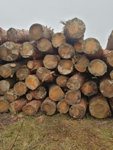Drewno opałowe SUCHE! Możliwy transport!