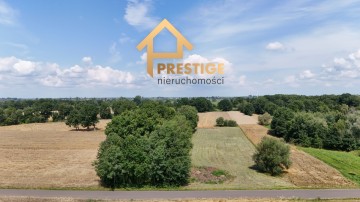 Trzy działki rolne 2ha na sprzedaż.