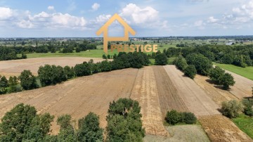 Trzy działki rolne 2ha na sprzedaż.