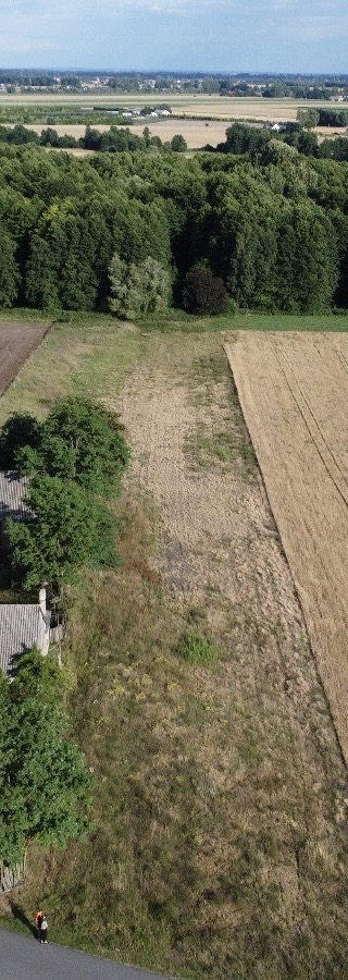 Działka/siedlisko w J&oacute;zefowie koło Słupcy z prawem zabudowy