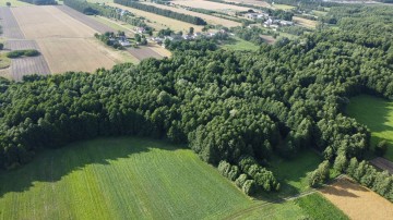 Działka/siedlisko w J&oacute;zefowie koło Słupcy z prawem zabudowy