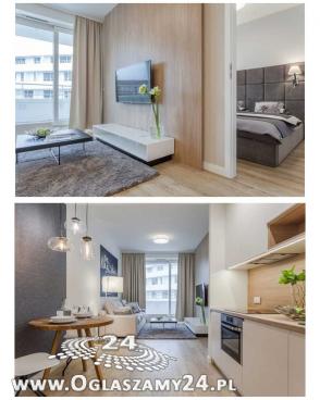 Wynajme mieszkanie dziewczynie /kobiecie