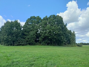 ŁĄKA Sprzedam łąkę gm. Lądek