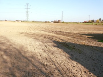 Okolice Skulska &ndash; Gospodarstwo Rolne