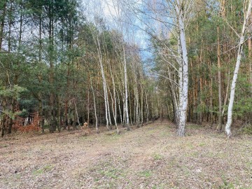 Sprzedam obiekt pod usługi - Międzylesie koło Turku