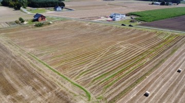Dziedzice, gmina Lądek DZIAŁKO ROLNO USŁUGOWA 2,61 H