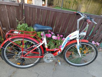 rower dameczka arkus koła 24 biegi prz&oacute;d tył