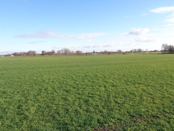 Działka Budowlana okolice Sompolna/Izbicy Kujawskiej