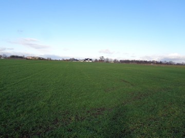 Działka Budowlana okolice Sompolna/Izbicy Kujawskiej