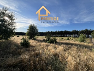 Działki pod budowę domu, Ż&oacute;łwieniec gm. Ślesin