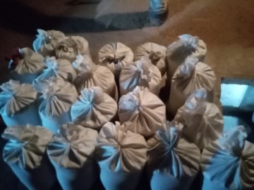 Przenica zimowa 800 zł