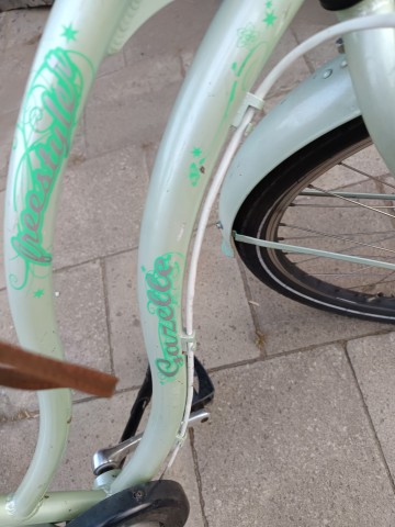 damka koła 26 biegi tył koszyk typu listonosza prz&oacute;d