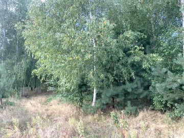 Działka na sprzedaż Grabieniec k. TURKU