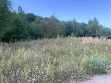 Działka na sprzedaż Grabieniec k. TURKU