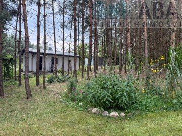 Urokliwa nieruchomość w lesie - Kamieńczyk, gm. Top&oacute;lka