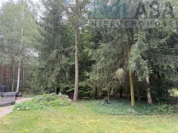 Urokliwa nieruchomość w lesie - Kamieńczyk, gm. Top&oacute;lka