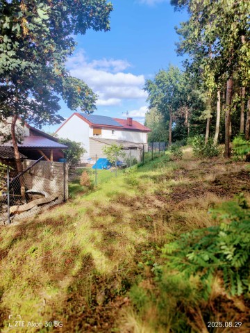 DOM DZIAŁKA LAS KAZIMIER&Oacute;W GMINA STARE MIASTO