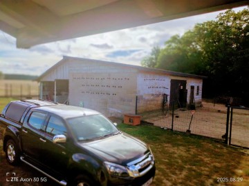 DOM DZIAŁKA LAS KAZIMIER&Oacute;W GMINA STARE MIASTO