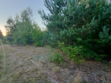 Sprzedam grunty orne, rolne+las Brzeźno gm Krzymów