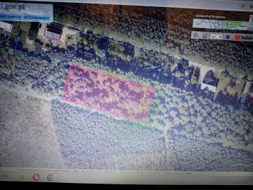 Sprzedam grunty orne, rolne+las Brzeźno gm Krzym&oacute;w