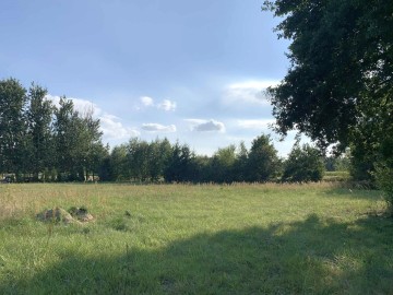 Siedlisko na sprzedaż Czarnybr&oacute;d gm Grodziec