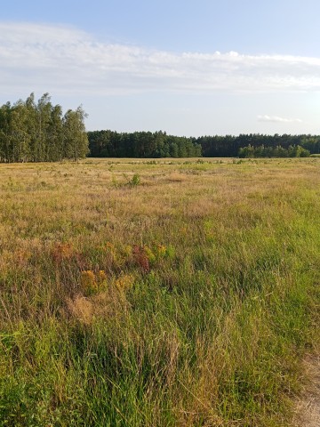 Sprzedam działkę budowlaną