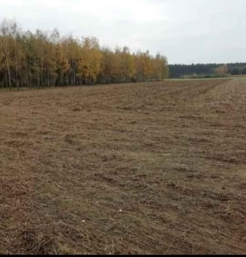 Sprzedam działkę budowlaną